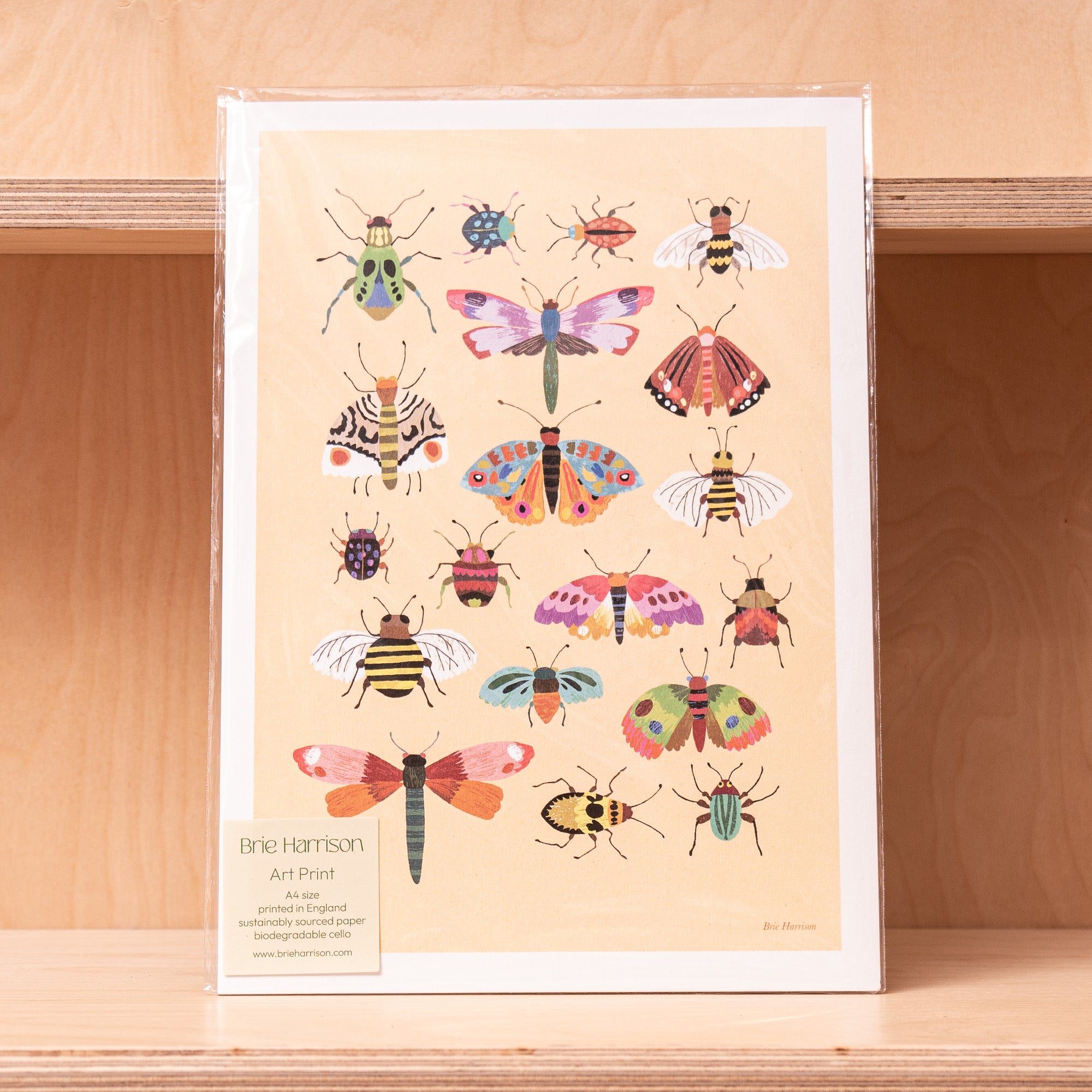 Brie Harrison Insects Art Print - A4
