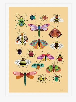 Brie Harrison Insects Art Print - A4