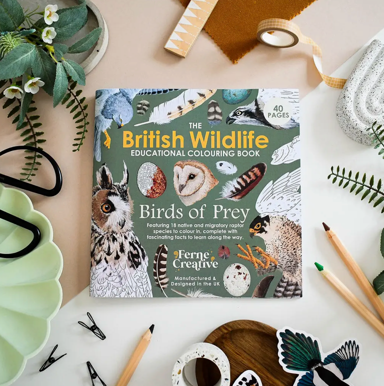 Ferne Creative - British Bird of Prey Educational Colouring Book