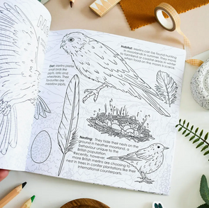Ferne Creative - British Bird of Prey Educational Colouring Book