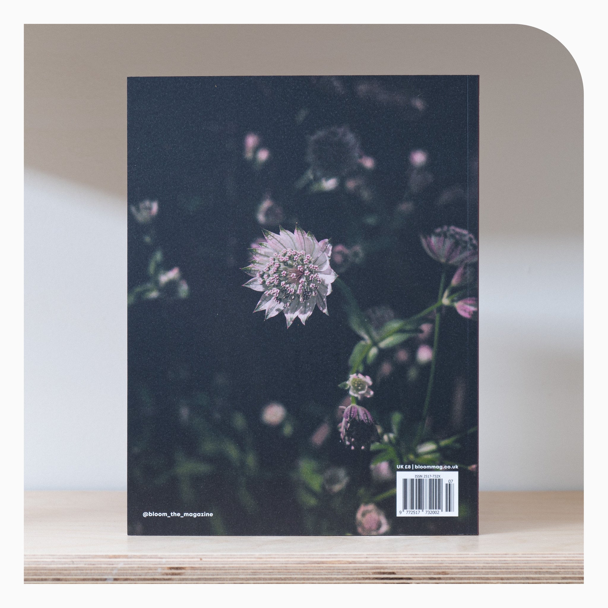 Bloom Magazine- Issue 7