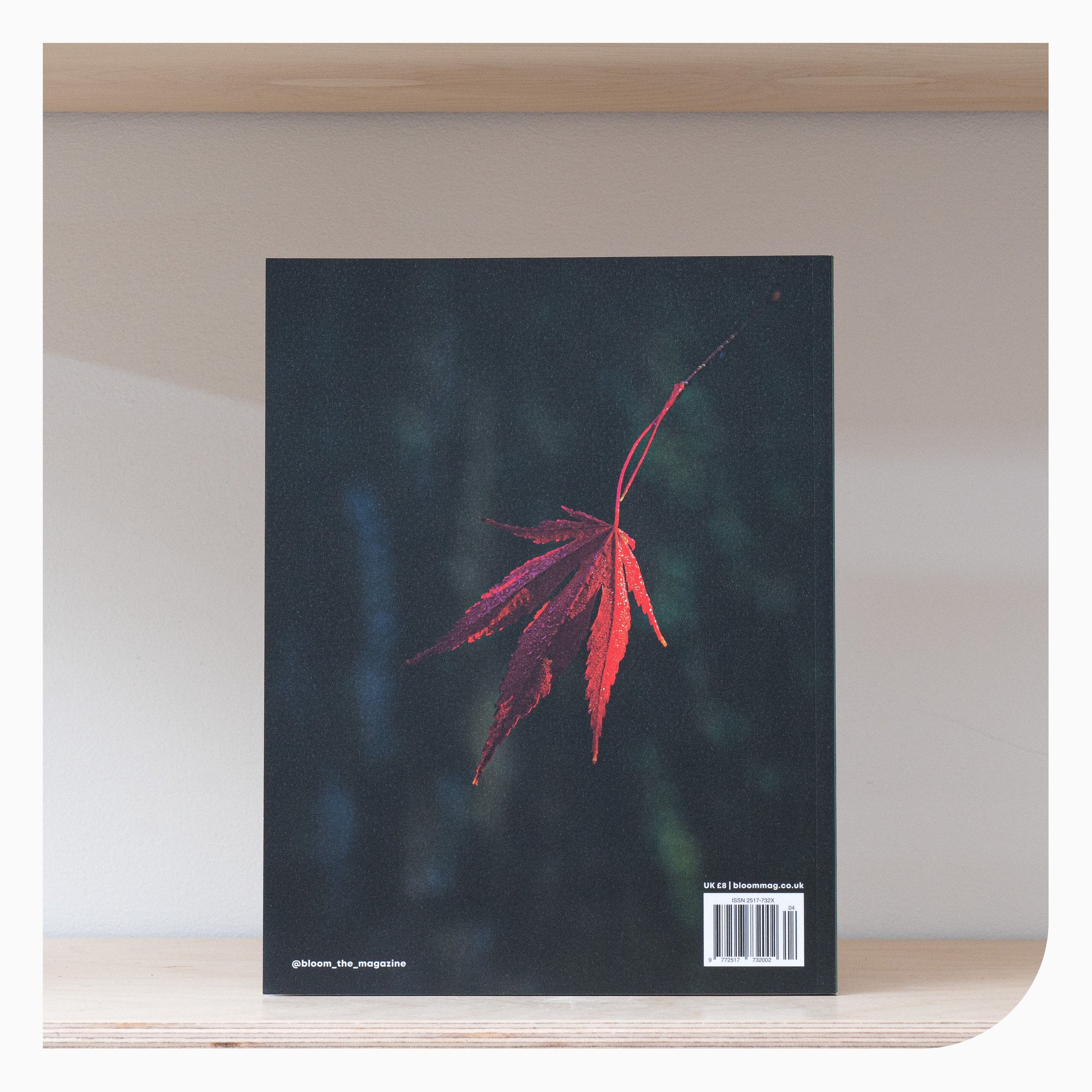 Bloom Magazine- Issue 4