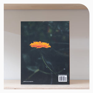 Bloom Magazine- Issue 5