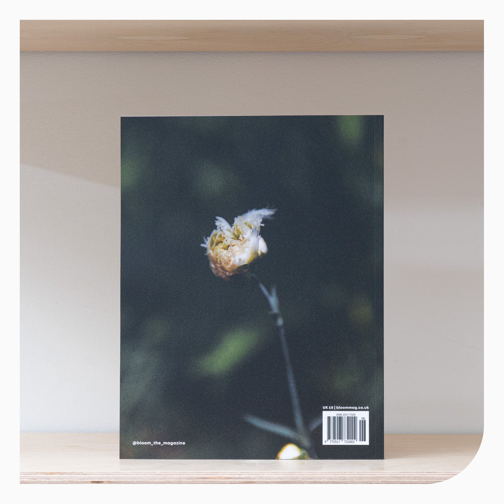Bloom Magazine- Issue 6