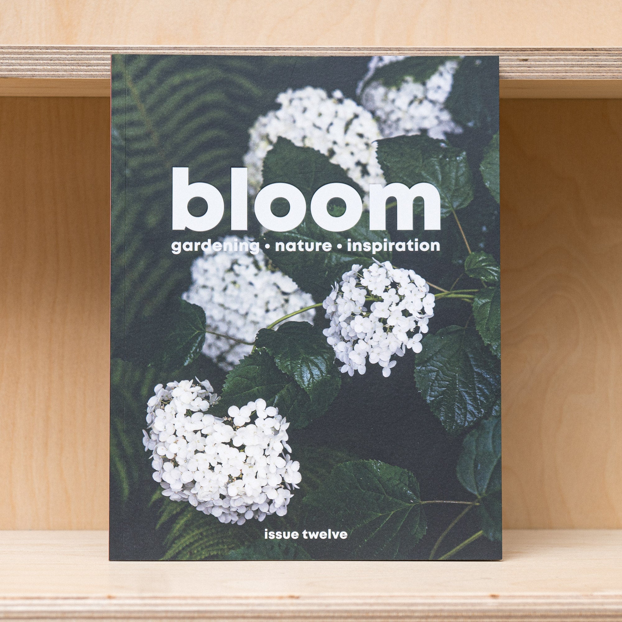 Bloom Magazine- Issue 12